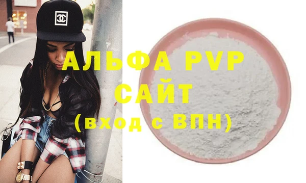амф Ельня