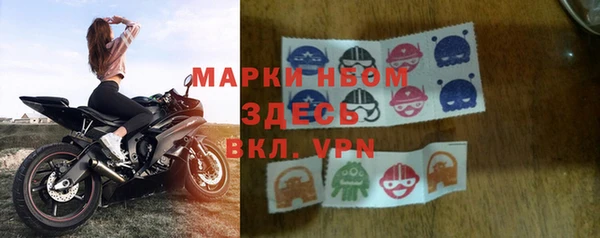амф Ельня