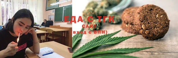амф Ельня