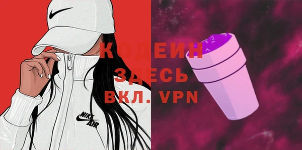 амф Ельня