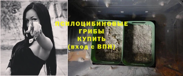 прущий лед Елабуга