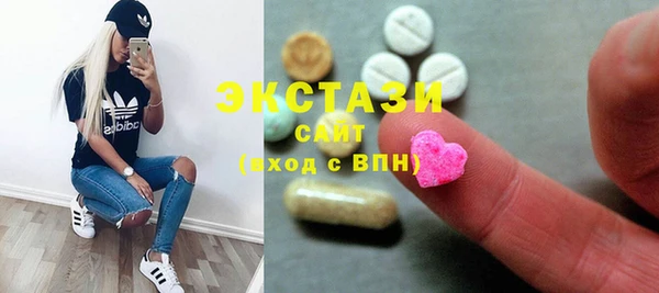 амф Ельня