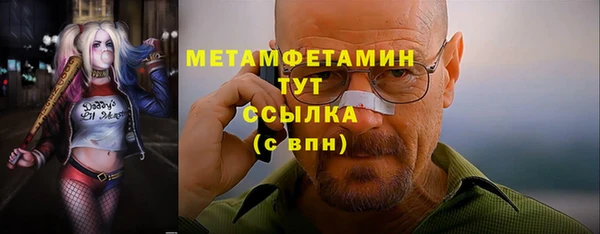 амф Ельня