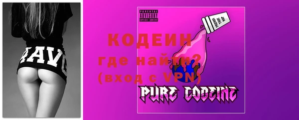 амф Ельня