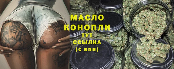 амф Ельня