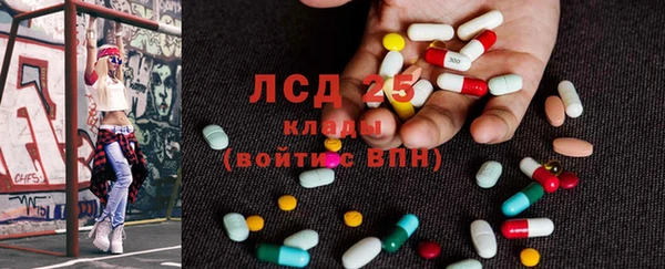 амф Ельня