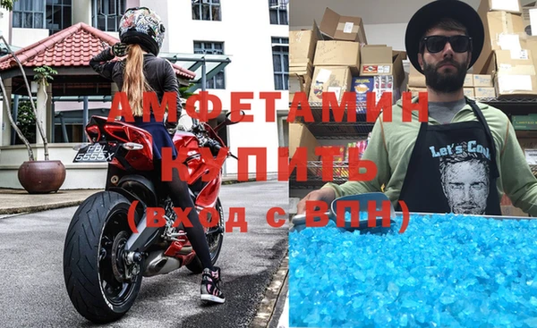 амф Ельня