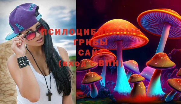 mdpv Елизово
