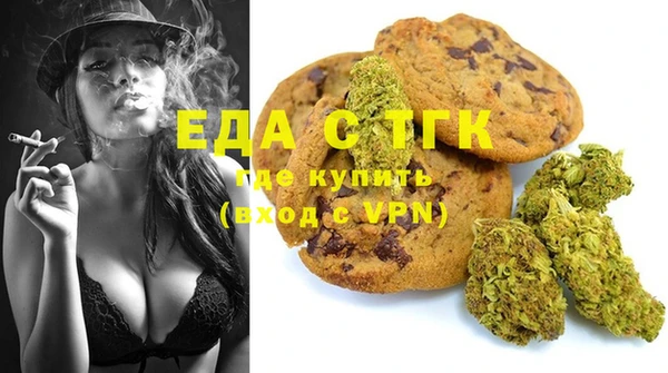 амф Ельня