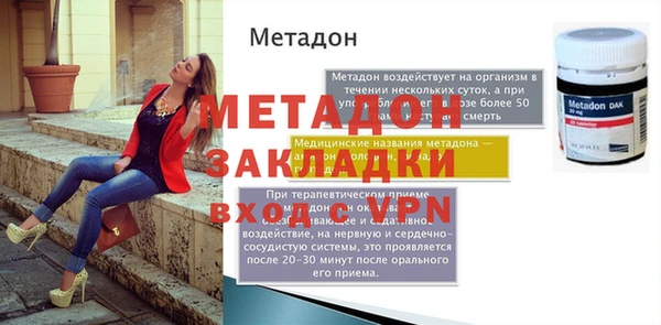 амф Ельня