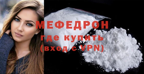 амф Ельня