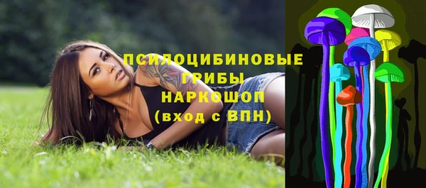 прущий лед Елабуга