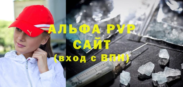 амф Ельня