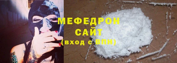 амф Ельня
