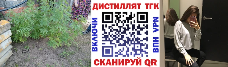 купить   Малгобек  ТГК THC oil 